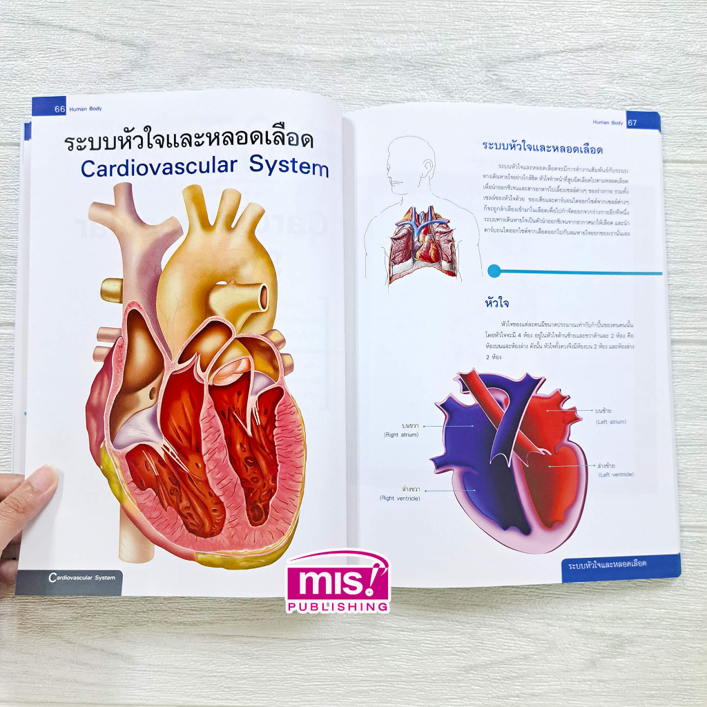 MISBOOK หนังสือระบบร่างกายมนุษย์