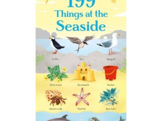 DKTODAY หนังสือ USBORNE 199 THINGS AT THE SEASIDE (AGE 2+)