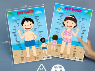 แบบฝึกท่องจำคำศัพท์ ร่างกายของฉัน My Body Girl / Boy พลาสติก PP ขนาด A4 #EA-336 #EA-337 (จำนวน 1 ชิ้น)