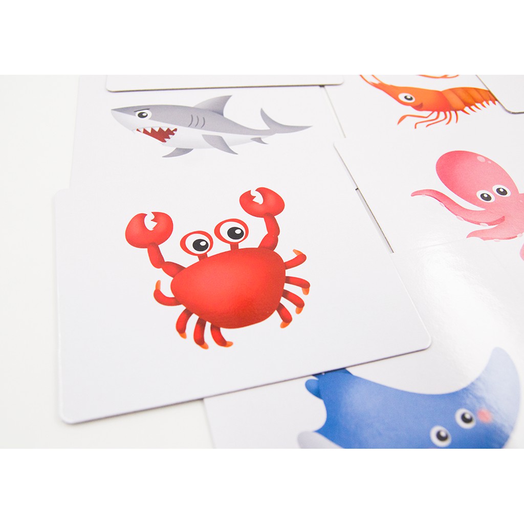 MISBOOK การ์ด Flash Card - Sea Animals