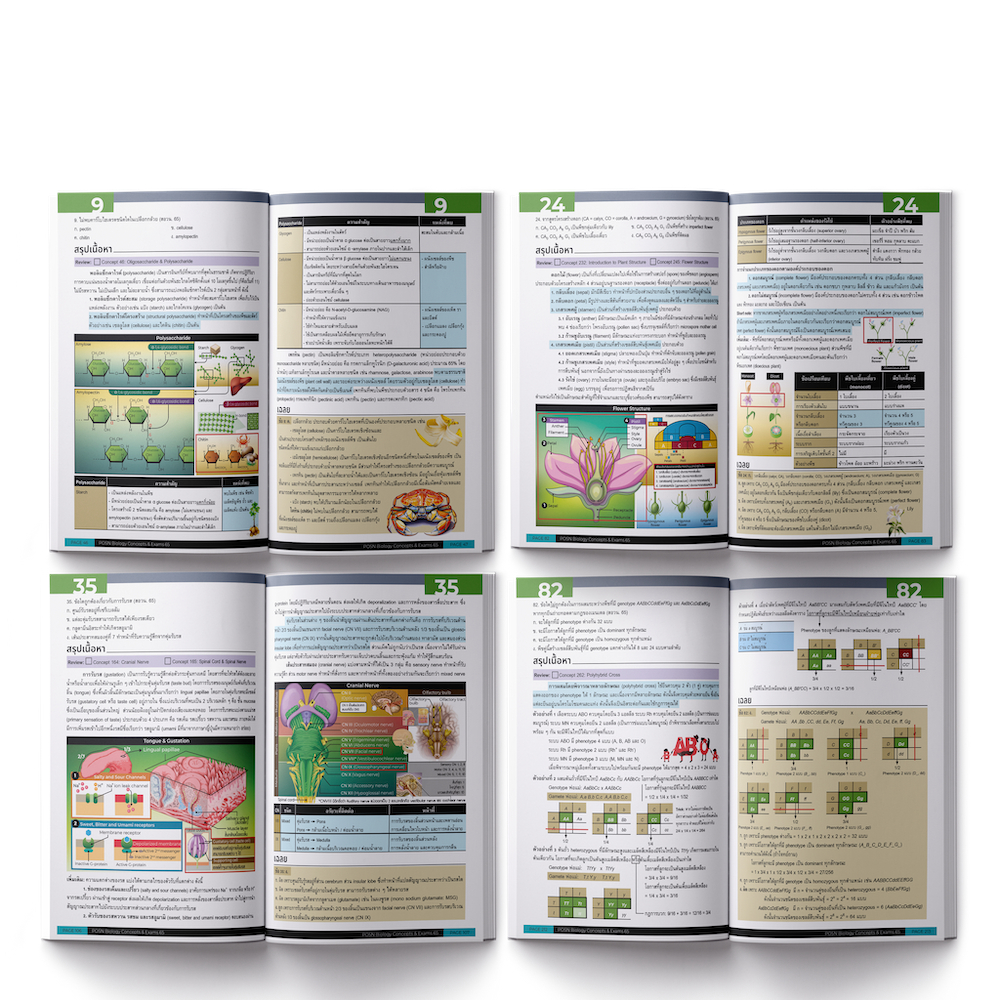 หนังสือ POSN BIOLOGY concept & exams 65 | เทพชัย โชติมณี [รหัส A-078]