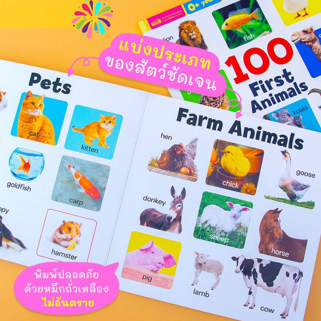 หนังสือบอร์ดบุ๊คกระดาษแข็ง หนังสือ ก ไก่เล่มแรกของหนู My first abc 100 first Animals หนัง