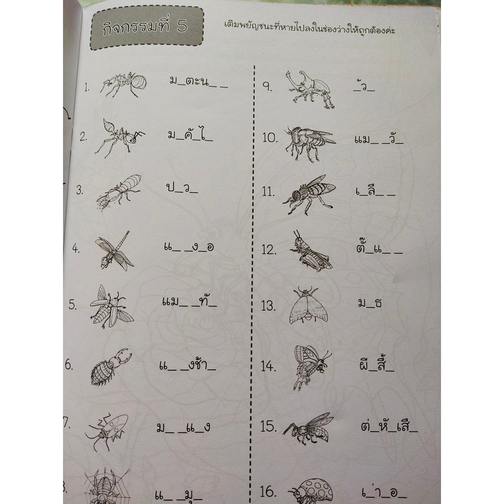 หนังสือเด็ก : สารานุกรมภาพระบายสี ชุด โลกของแมลง