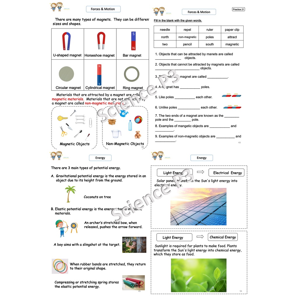 ใบงาน แบบฝึกหัดพร้อมเฉลย วิชา Science EP ป. 3