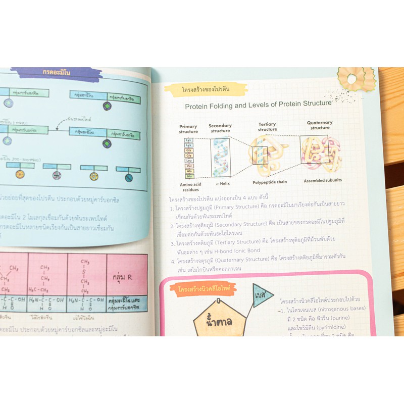 A -หนังสือ Drawing of Biology ภาพจำ ชีววิทยา พิชิตข้อสอบเต็ม 100%