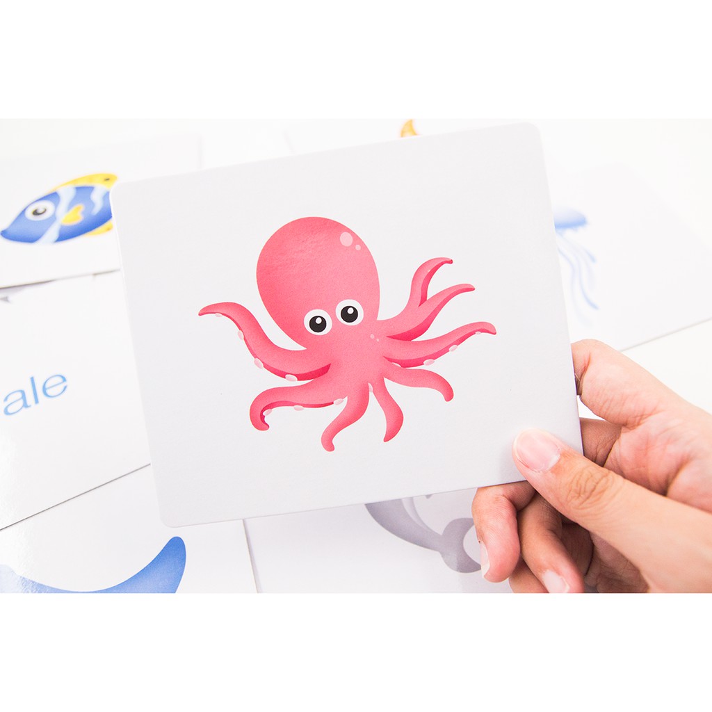 MISBOOK การ์ด Flash Card - Sea Animals