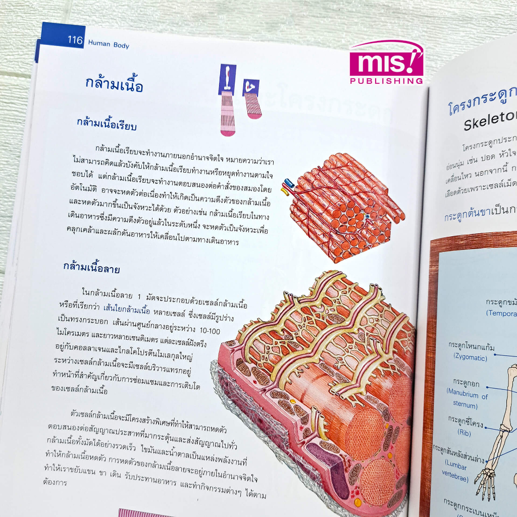 MISBOOK หนังสือระบบร่างกายมนุษย์