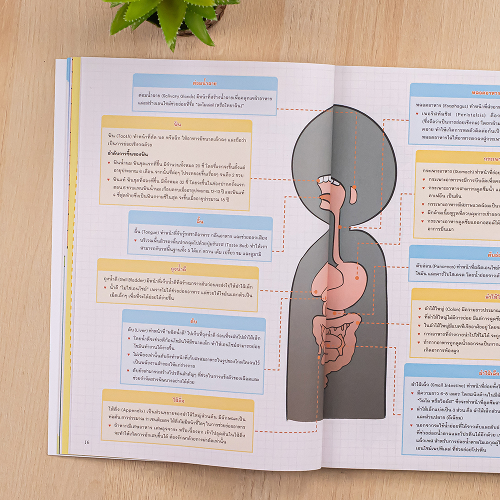 หนังสือ Learning Map คณิต/วิทย์/ภาษาไทย/สังคม ประถม 6