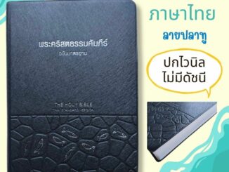 พระคัมภีร์ขนาดกลาง ปกไวนิล สีดำ 14.5x21.0 cm พระคริสตธรรมคัมภีร์ คริสเตียน พระเจ้า พระเยซู GOD JESUS