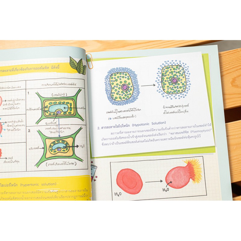 A -หนังสือ Drawing of Biology ภาพจำ ชีววิทยา พิชิตข้อสอบเต็ม 100%