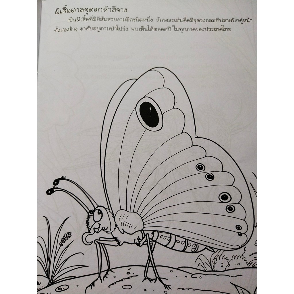 หนังสือเด็ก : สารานุกรมภาพระบายสี ชุด โลกของแมลง