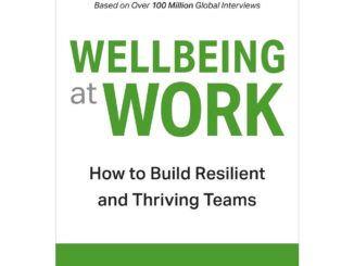 Wellbeing at Work Hardcover