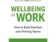 Wellbeing at Work Hardcover