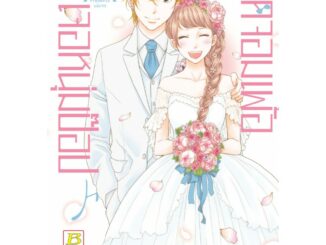 Made in Honey เมดจอมเพ้อเจอหนุ่มป๊อป เล่ม 1-6 มือ 1 พร้อมส่ง