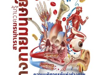 NANMEEBOOKS หนังสือ สารานุกรมความรู้ ร่างกายมนุษย์ : เสริมความรู้เยาวชน สารานุกรม