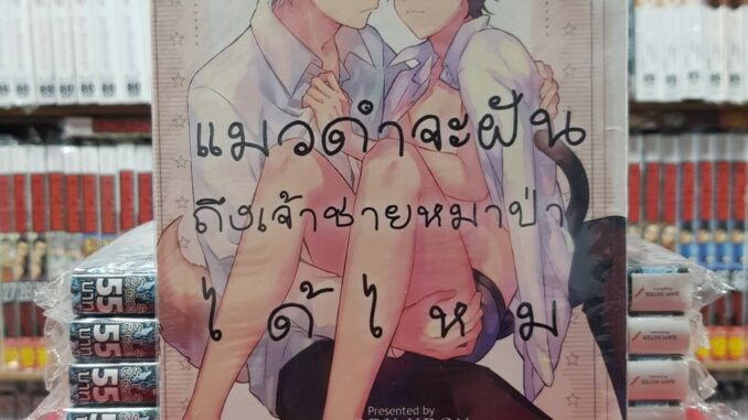 แมวดำจะฝันถึงเจ้าชายหมาป่าได้ไหม เล่มเดียวจบ การ์ตูนวาย หนังสือการ์ตูนวาย มือหนึ่ง