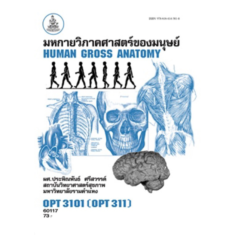 ตำราเรียน ม.ราม OPT3101 (OPT311) มหกายวิภาคศาสตร์ของมนุษย์