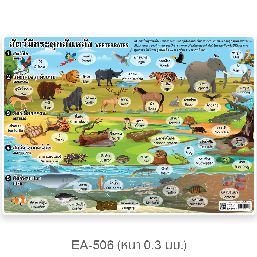 โปสเตอร์ความรู้ ชุดอาณาจักรสัตว์ ขนาดA4 EA-506 สัตว์มีกระดูกสันหลัง