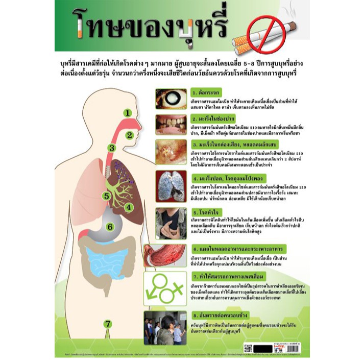 โปสเตอร์เรื่องโทษของการสูบบุหรี่ #EQ-130 โปสเตอร์กระดาษ โปสเตอร์สื่อการเรียนการสอน